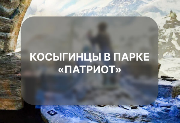 Косыгинцы почтили память героев Великой Отечественной войны в Парке «Патриот».