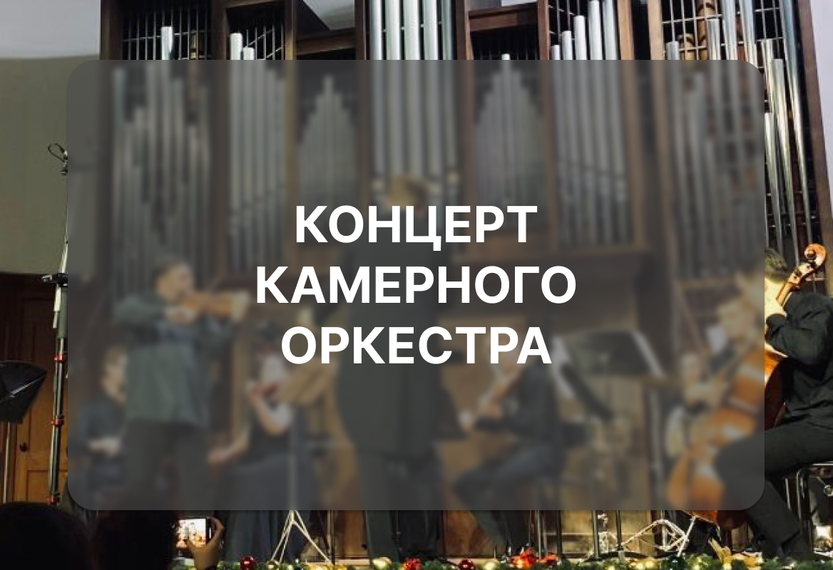 Концерт камерного оркестра института «Академия имени Маймонида»
